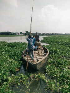 men in a small wooden boat natigate a plant-covered swamp with a wooden pole.