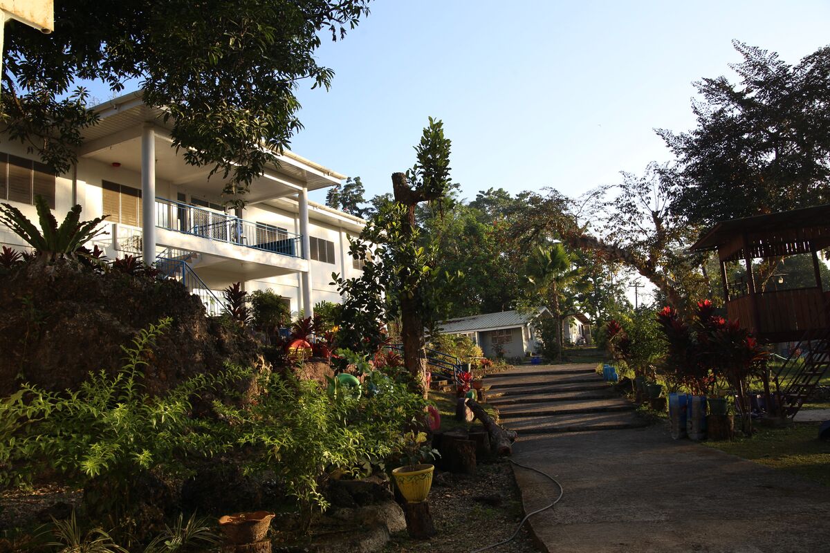A large building with a sunny balcony in a setting of lush foliage. 